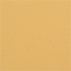 Symphony Classic Cashew